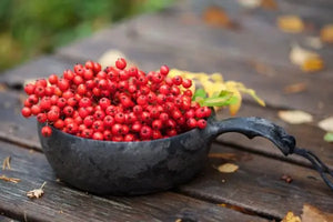 遠野倉庫 Yuenye Warehouse