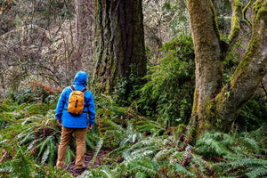 EXPED Cloudburst 15 Waterproof Backpack 防水背包(2022新版) - 遠野倉庫 Yuenye Warehouse