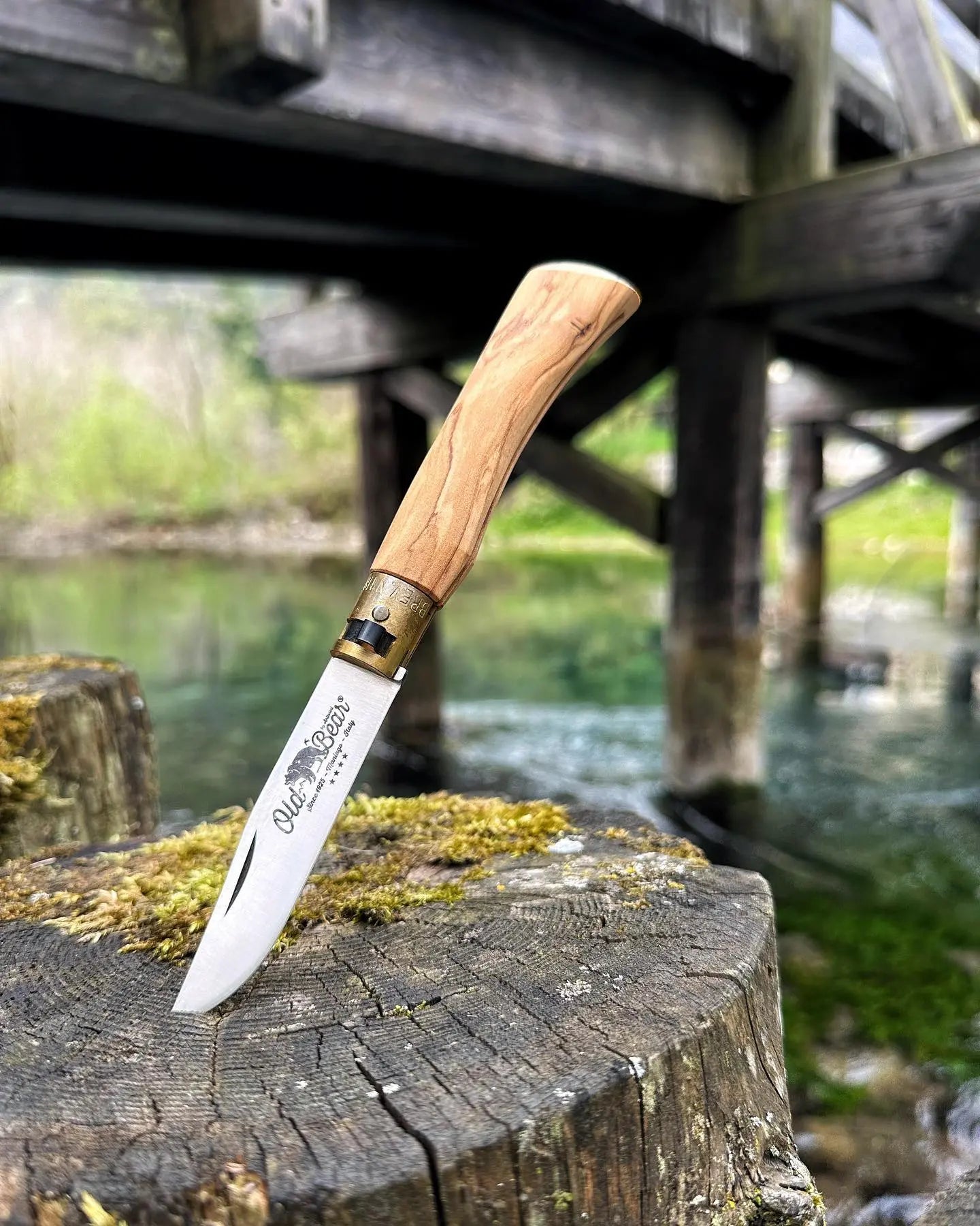 Antonini Old Bear® Classical Italian Olive stainless steel blade 意大利橄欖木柄摺刀 (不鏽鋼刀刃) - 遠野倉庫 Yuenye Warehouse
