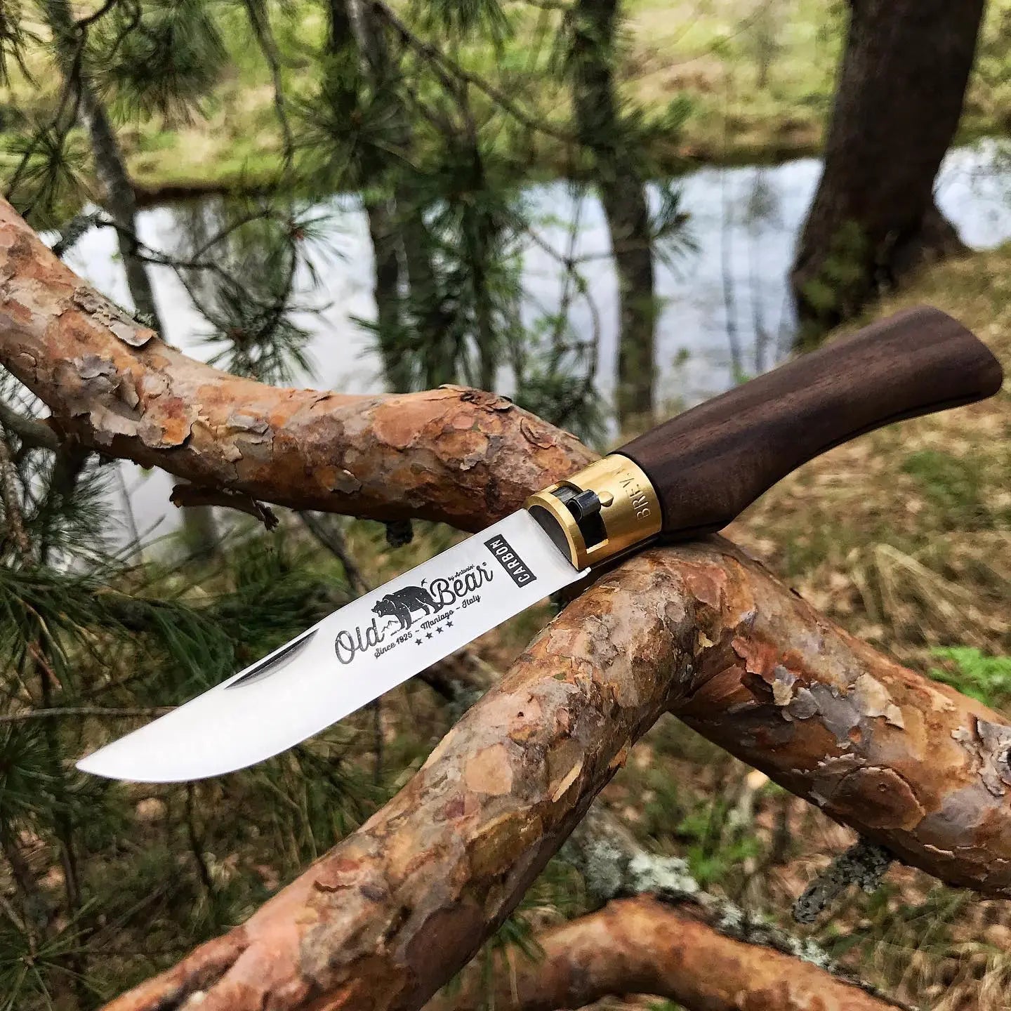 Antonini Old Bear® Classical Walnut stainless steel blade 胡桃木柄摺刀 (不鏽鋼刀刃) - 遠野倉庫 Yuenye Warehouse