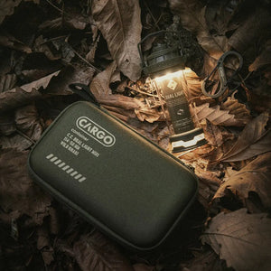 CARGO container Dual Light mini 工業風LED燈 - 遠野倉庫 Yuenye Warehouse