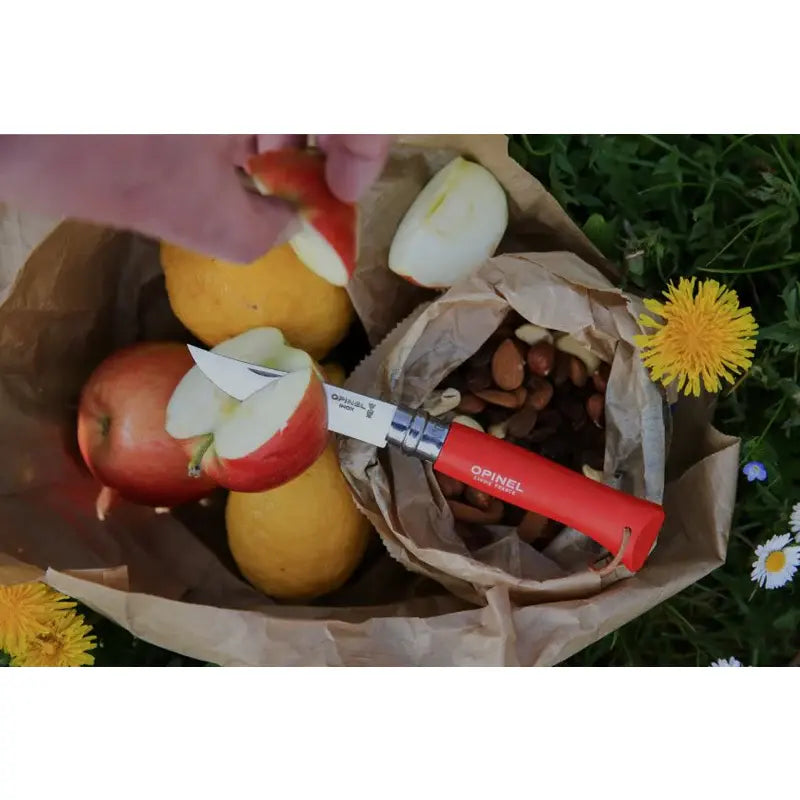 Opinel  不銹鋼尖頭摺刀 - N08 Bushwhacker 傳統色彩 (帶索繩) - 遠野倉庫 Yuenye Warehouse