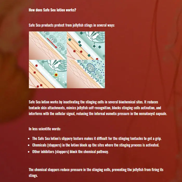 Safe Sea Anti-jellyfish Sting Protective Lotion | SPF50+ | Jellyfish & Sea Lice Prevention Sunscreen 防水母螫傷SPF50+防曬乳(海洋友善配方) - 遠野倉庫 Yuenye Warehouse